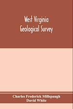 West Virginia Geological Survey. Part I. The living flora of West Virginia. Part II. The Fossil Flora of West Virginia. 