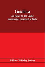 Goidilica; or, Notes on the Gaelic manuscripts preserved at Turin, Milan, Berne, Leyden, the monastery of S. Paul, Carinthia, and Cambridge, with eight hymns from the Liber hymnorum, and the Old-Irish notes in the Book of Armagh