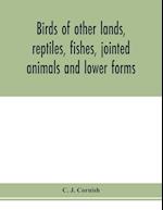 Birds of other lands, reptiles, fishes, jointed animals and lower forms 