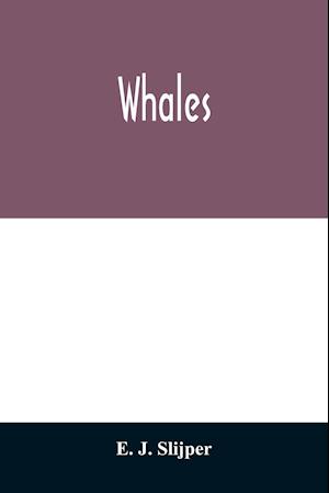 Whales