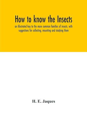 How to know the insects; an illustrated key to the more common families of insects, with suggestions for collecting, mounting and studying them