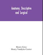 Anatomy, Descriptive and Surgical 