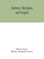 Anatomy, Descriptive and Surgical 