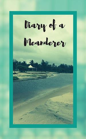 Diary of a Meanderer