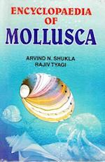 Encyclopaedia of Mollusca (Evolutionary Molluscs)