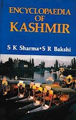 Encyclopaedia of Kashmir (Ancient and Medieval Kashmir)