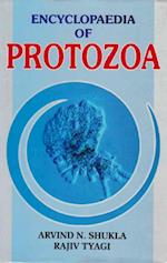 Encyclopaedia of Protozoa (Life of Protozoa)