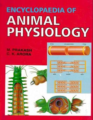 Encyclopaedia of Animal Physiology (Physiology of Circulation)