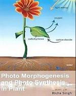 Photo Morphogenesis And Photo Synthesis In Plant