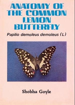 Anatomy of The Common Lemon Butterfly Pupillo Demoleus Demoleus (L)