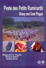 Peste Des Petits Ruminants : Sheep And Goat Plague