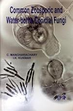 Common Zoosporic and Water-borne Conidial Fungi