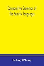 Comparative grammar of the Semitic languages 