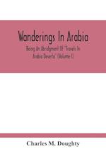 Wanderings In Arabia