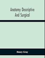 Anatomy Descriptive And Surgical 