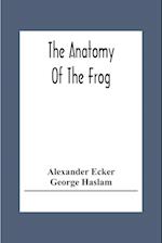 The Anatomy Of The Frog 