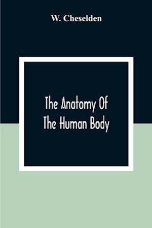 The Anatomy Of The Human Body