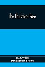 The Christmas Rose