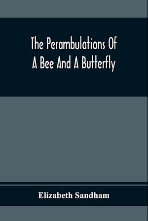 The Perambulations Of A Bee And A Butterfly