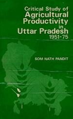 Critical Study of Agricultural Productivity in Uttar Pradesh 1951-1975