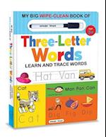 My Big Wipe and Clean Book of Three Letter Words for Kids