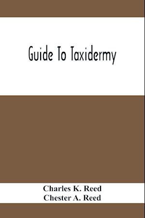 Guide To Taxidermy