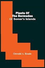 Plants Of The Bermudas