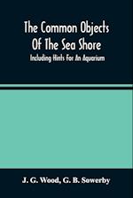 The Common Objects Of The Sea Shore