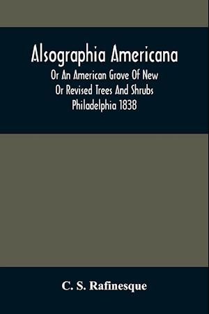 Alsographia Americana