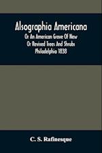 Alsographia Americana