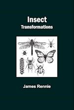 Insect Transformations 