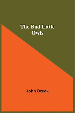 The Bad Little Owls