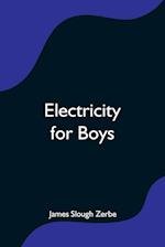 Electricity for Boys 