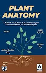 Plant Anatomy 