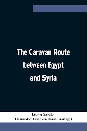 The Caravan Route between Egypt and Syria