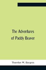 The Adventures Of Paddy Beaver 