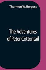 The Adventures Of Peter Cottontail 
