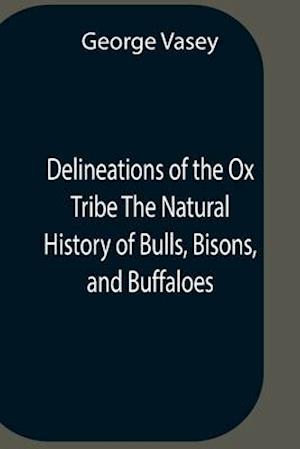 Delineations Of The Ox Tribe The Natural History Of Bulls, Bisons, And Buffaloes. Exhibiting All The Known Species And The More Remarkable Varieties Of The Genus Bos.