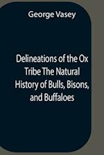 Delineations Of The Ox Tribe The Natural History Of Bulls, Bisons, And Buffaloes. Exhibiting All The Known Species And The More Remarkable Varieties Of The Genus Bos.