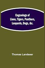 Engravings of Lions, Tigers, Panthers, Leopards, Dogs, &c. 