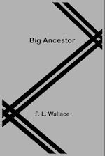 Big Ancestor 