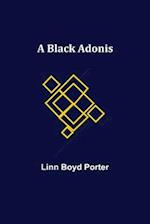 A Black Adonis 