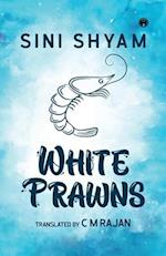 White Prawns 