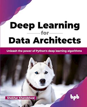 Deep Learning for Data Architects