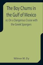 The Boy Chums in the Gulf of Mexico or, On a Dangerous Cruise with the Greek Spongers 