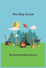 The Boy Scout 