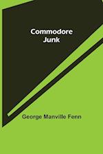 Commodore Junk 