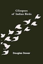 Glimpses of Indian Birds 
