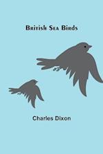 British Sea Birds 