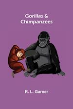 Gorillas & Chimpanzees 